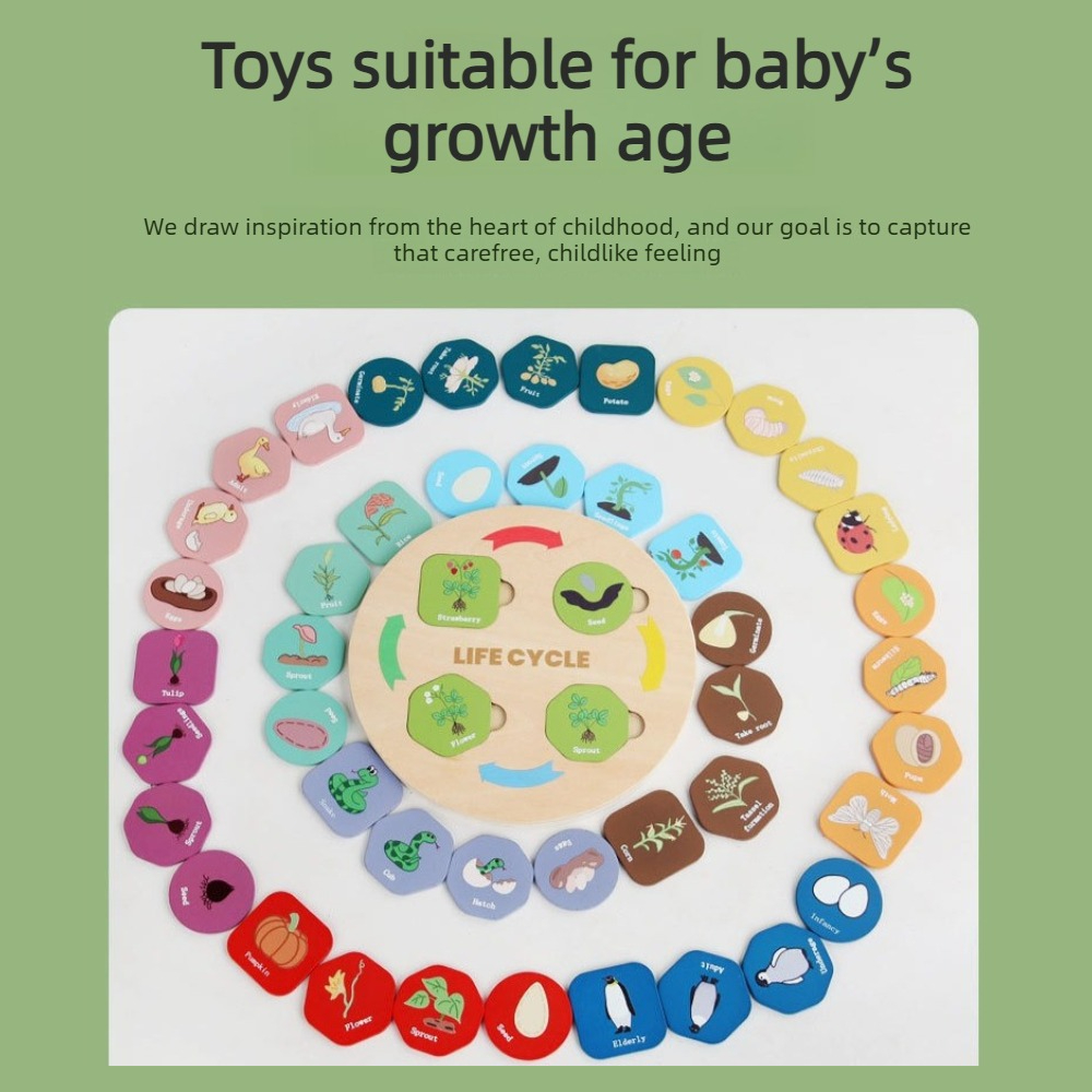 1個入り木製成長パズル、植物と動物のライフサイクル認知玩具、 - Kids Toys Cycle のレビューと価格